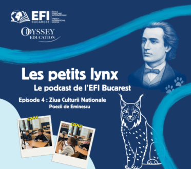 Les petits lynx - Episode 4