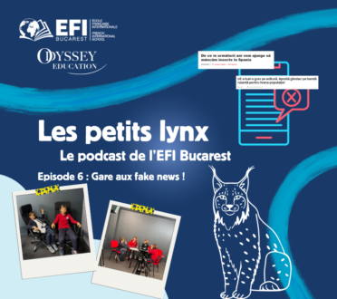 Les Petits Lynx - Episode 6