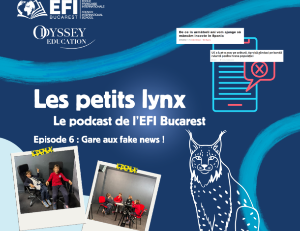 Les Petits Lynx - Episode 6